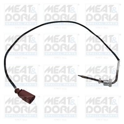 Sensor, exhaust gas temperature